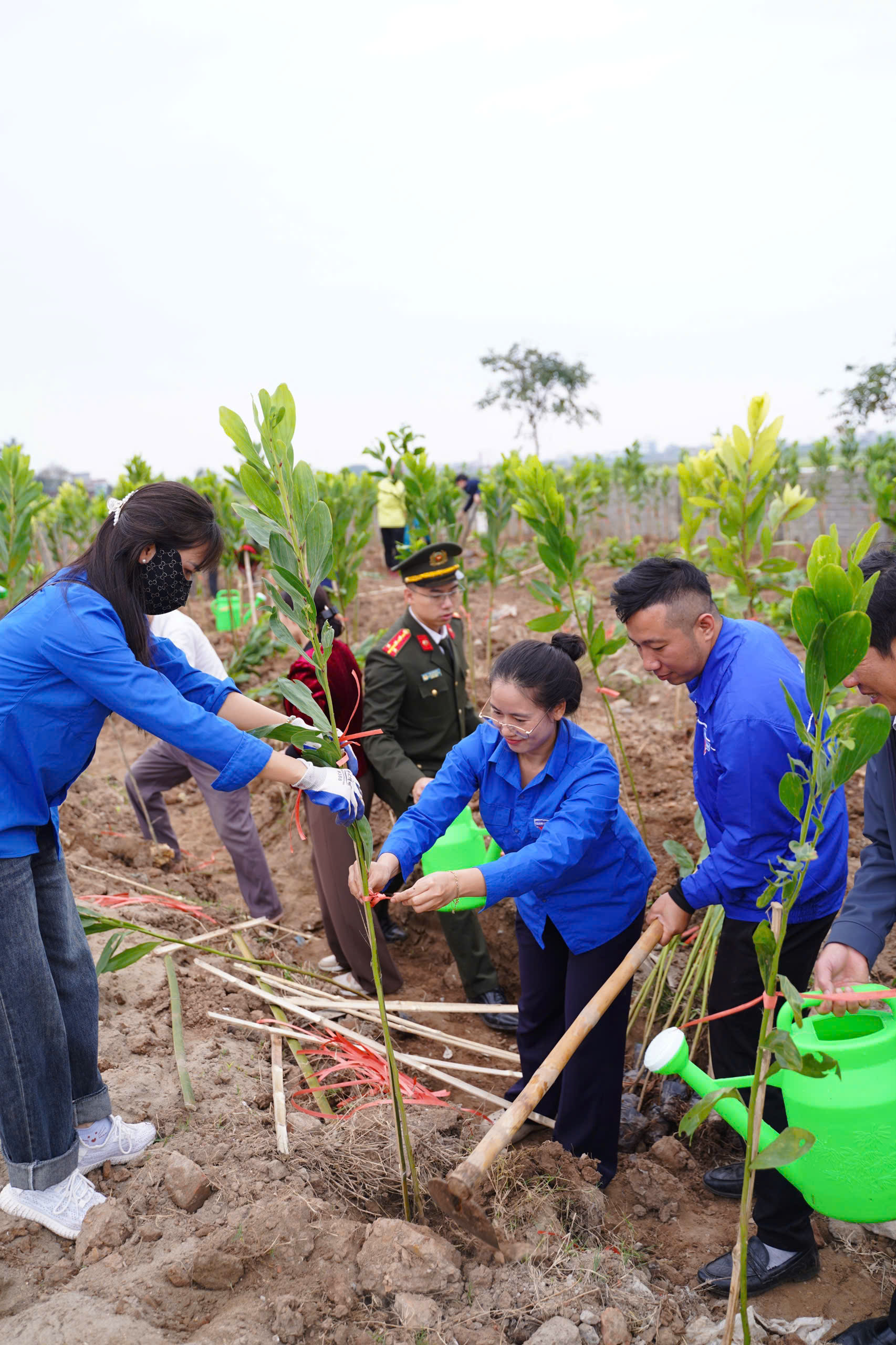 xã Nam Thụy Anh tổ chức lễ phát động “Tết trồng cây đời đời nhớ ơn Bác Hồ” Xuân Bính Ngọ năm 2026